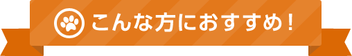 こんな方におすすめ！